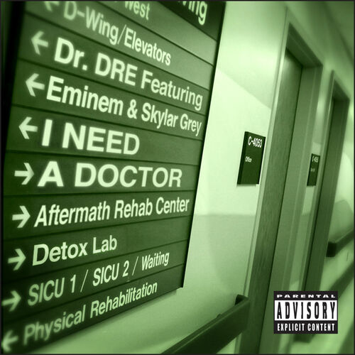 Dr. Dre,Eminem,Skylar Grey - I Need A Doctor