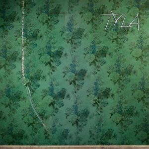 Tyla - Water